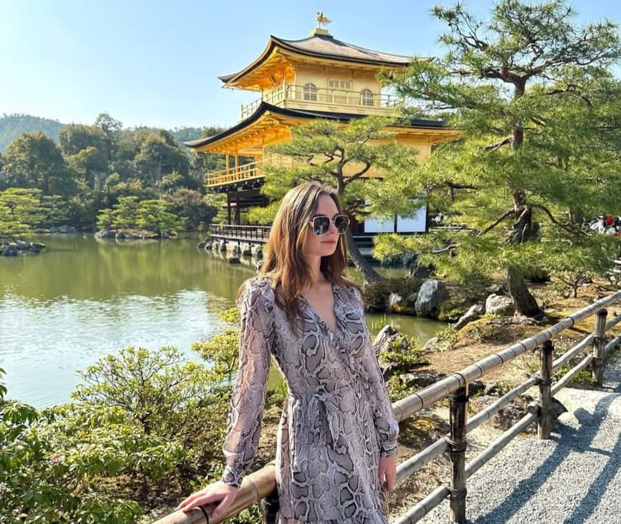 Mount Fuji Customize Private Tour with English Driver - Key things that make this tour work well