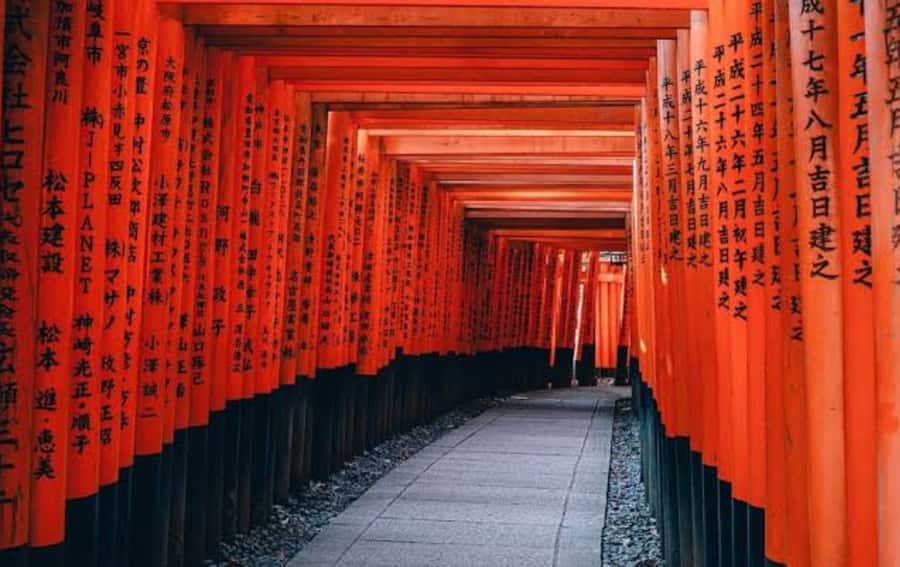 Mount Fuji Customize Private Tour with English Driver - A day-long ride, with food and tickets you should plan for