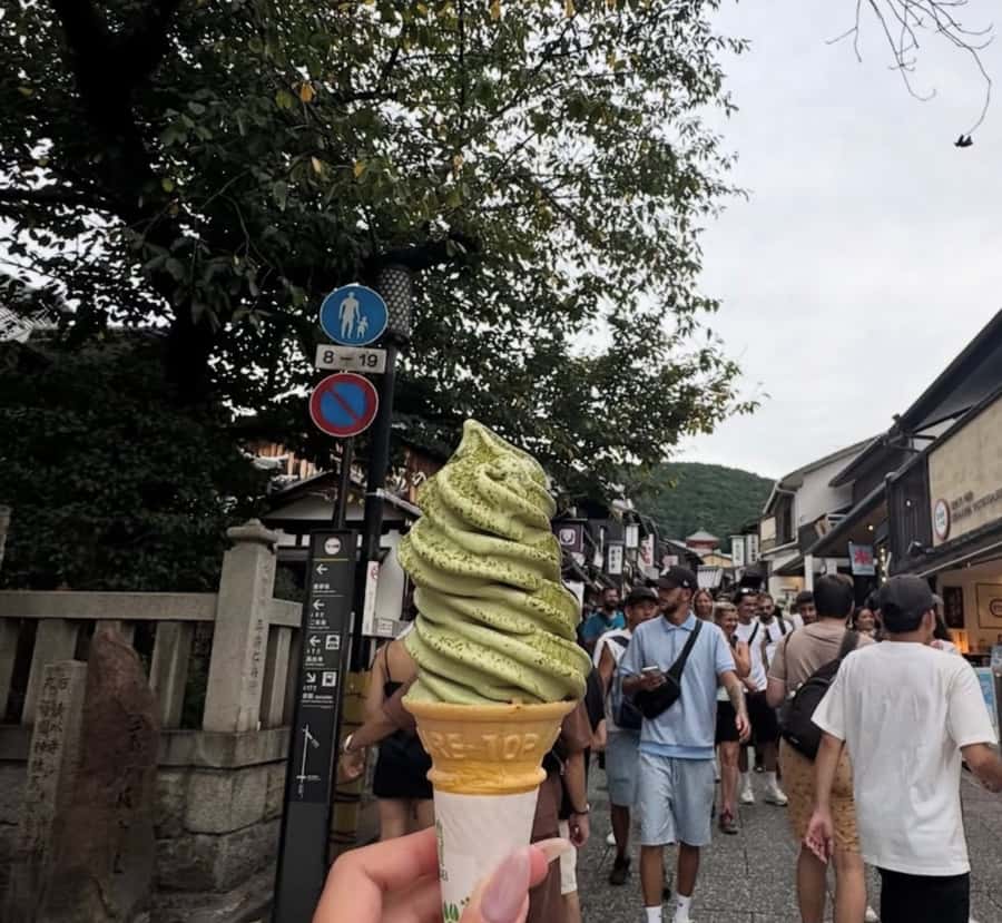 Mount Fuji Customize Private Tour with English Driver - Hakone and Lake Ashi: the scenic payoff stop