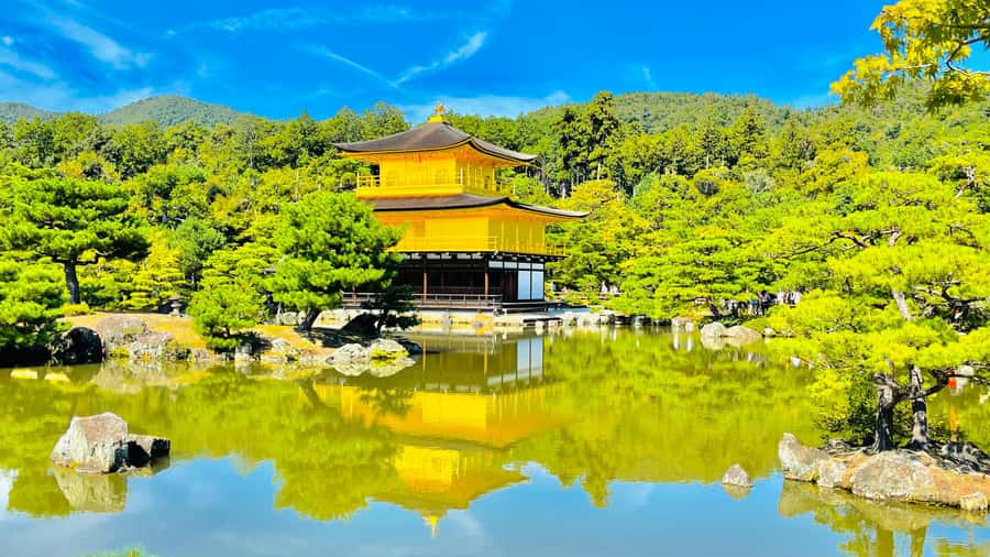 Mount Fuji Customize Private Tour with English Driver - Pickup in Tokyo’s 23 wards, and why timing matters more than you think