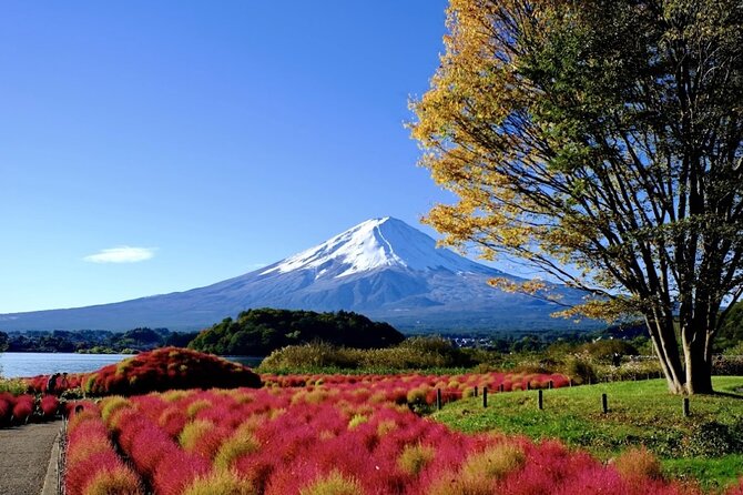 Mount Fuji Full Day Customized Private Tour with English Guide - A Private Car Up the Fuji Road From Tokyo