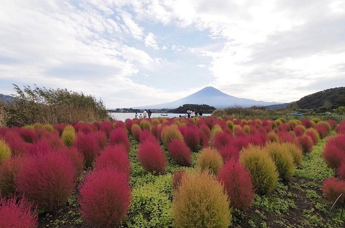 Mount Fuji Full Day Customized Private Tour with English Guide - Lake Kawaguchiko and Arakurayama Sengen Park: Best Chances at Fuji
