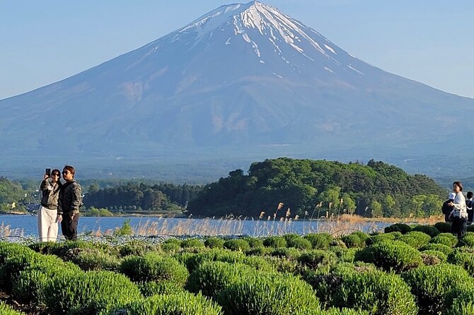 Mount Fuji Full Day Customized Private Tour with English Guide - Narusawa Ice Cave and Chureito Pagoda: The Cool Surprise