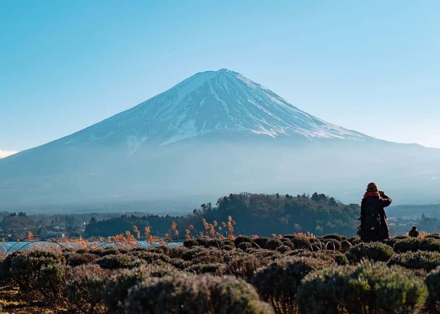 Mount Fuji Full-Day Private Sightseeing Tour with Guide - Quick hits before your crowd-free Fuji day