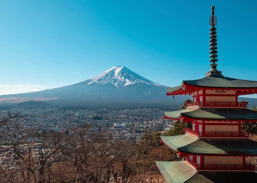 Mount Fuji Full-Day Private Sightseeing Tour with Guide - Why a private Mount Fuji tour from Tokyo beats the bus routine