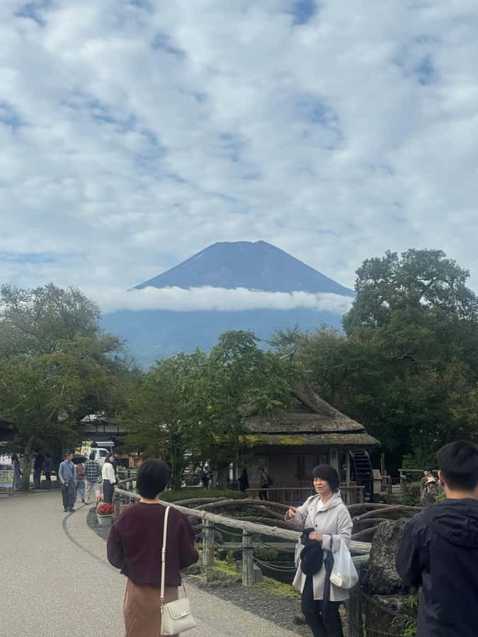 Mount Fuji Full-Day Private Sightseeing Tour with Guide - 5th Station plans, weather swaps, and protecting your best view
