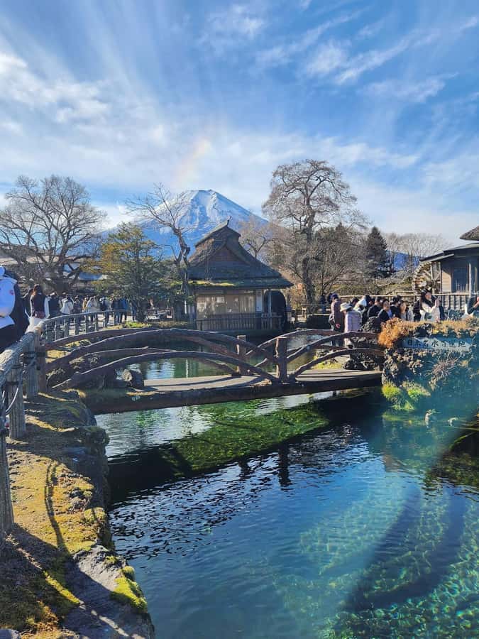 Mount Fuji Full-Day Private Sightseeing Tour with Guide - Getting to Fuji in comfort, with your own air-conditioned guide