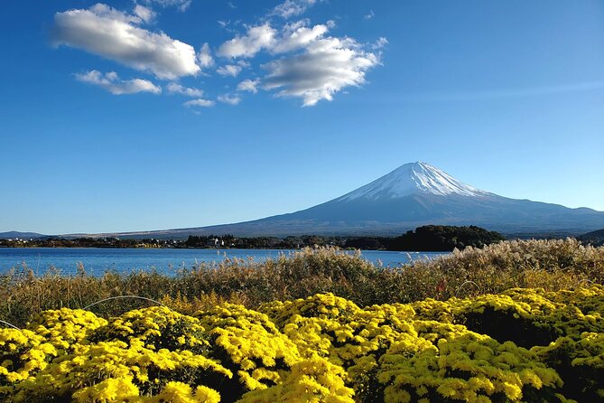 Mount Fuji Full-Day Private Tour from Tokyo (Customizable) - The ride out of Tokyo: where your day really starts