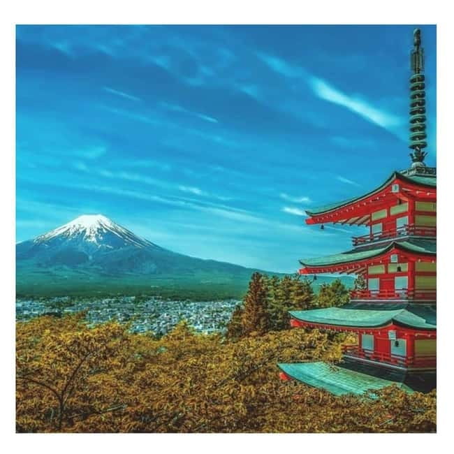 Mount Fuji Full Day Private Tour from Tokyo Full Customized - Key Highlights You Will Feel Immediately