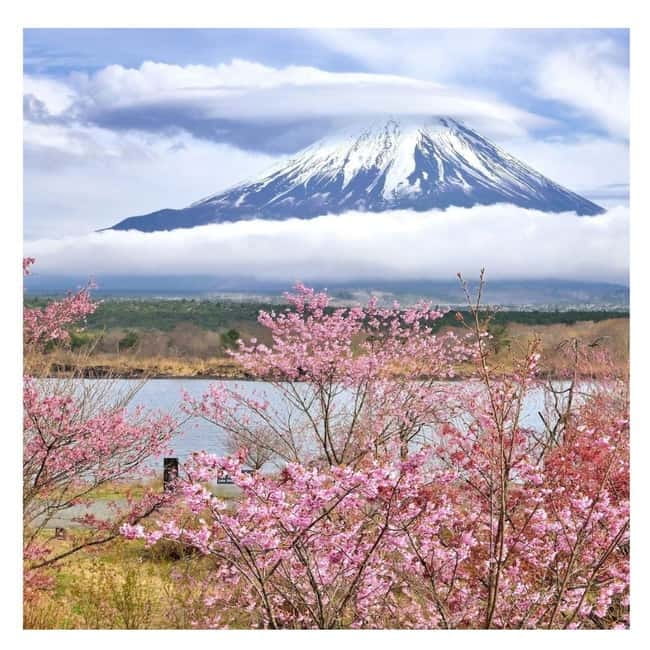 Mount Fuji Full Day Private Tour from Tokyo Full Customized - Oishi Park and an Ice Cream Reset
