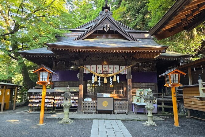 Mount Fuji Full Day Sightseeing Tour from Tokyo - Should You Book This Mount Fuji Tour?