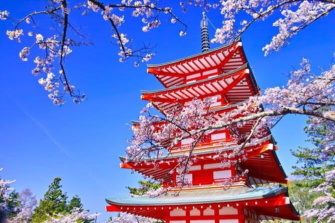 Mount Fuji Full Day Sightseeing Tour from Tokyo - The 8:00 am start, long return, and why timing feels tight