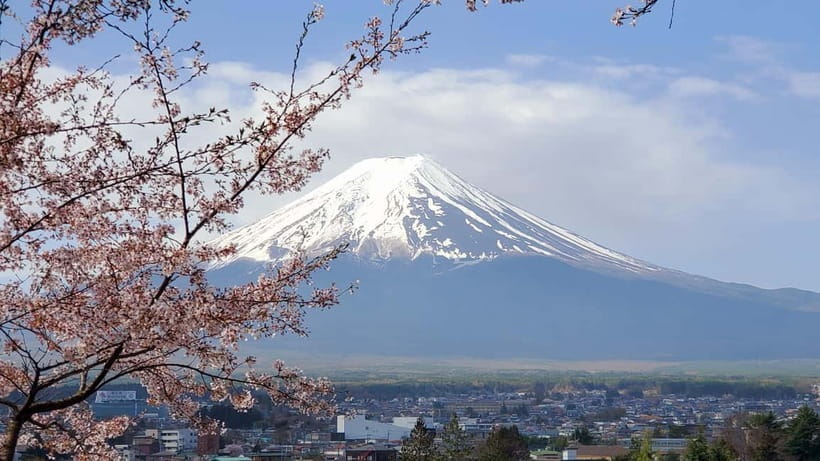 Mount Fuji & Hakone Full-Day Private Tour (Customizable) - Key moments I’d prioritize on this tour