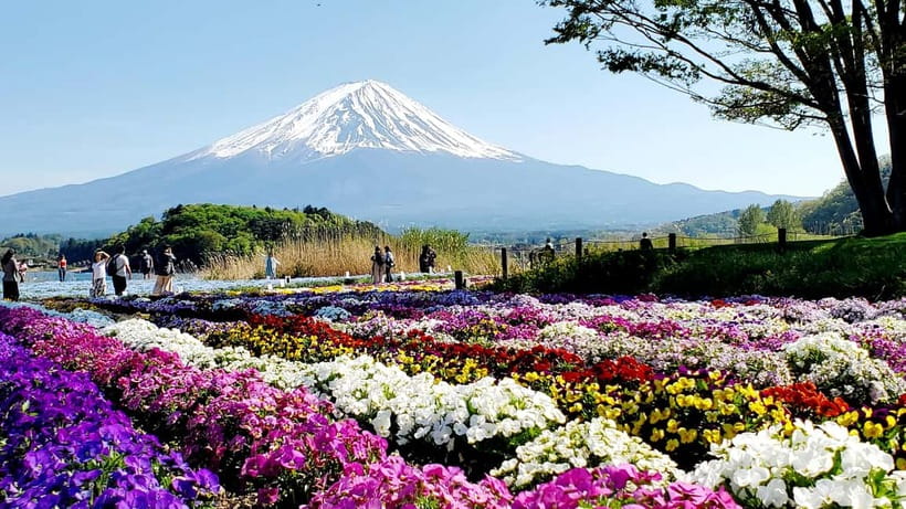 Mount Fuji & Hakone Full-Day Private Tour (Customizable) - A 10-hour private day from Tokyo, built for efficiency