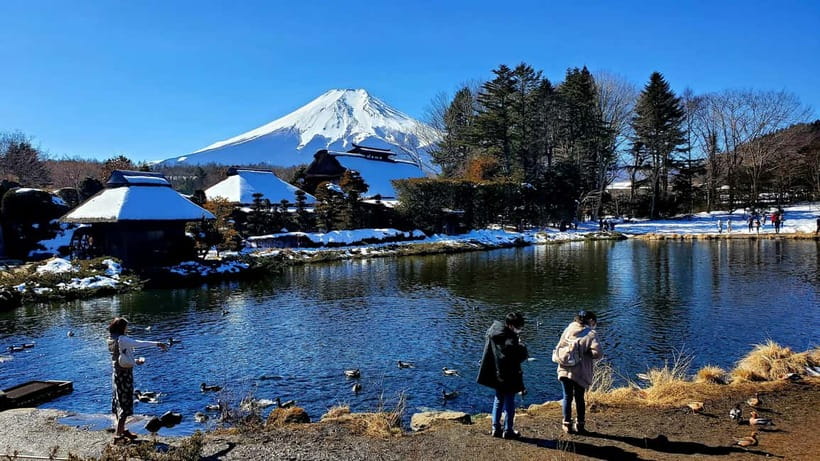Mount Fuji & Hakone Full-Day Private Tour (Customizable) - Kitaguchi-Hongu Fuji Sengen Shrine for the cultural meaning behind Fuji