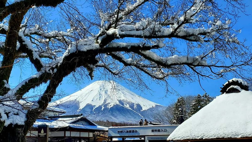 Mount Fuji & Hakone Full-Day Private Tour (Customizable) - Oshino Hakkai: eight ponds, koi feeding, and snack breaks