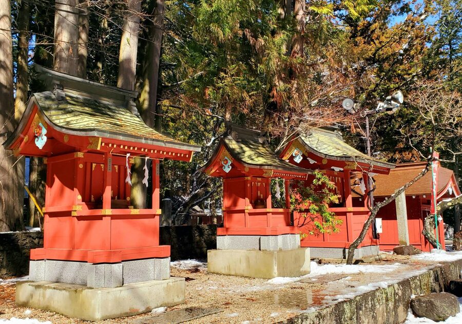 Mount Fuji & Hakone Full-Day Private Tour (Customizable) - Hakone Ropeway: where the views climb and the ride costs are extra