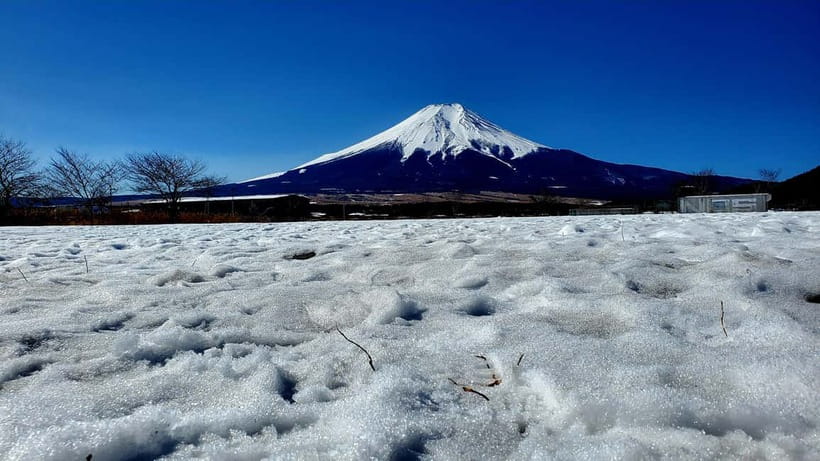Mount Fuji & Hakone Full-Day Private Tour (Customizable) - Lake Ashi pirate ship: the calm Mount Fuji moment