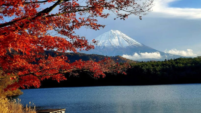 Mount Fuji & Hakone Full-Day Private Tour (Customizable) - Chureito Pagoda photo stop with the right kind of walking