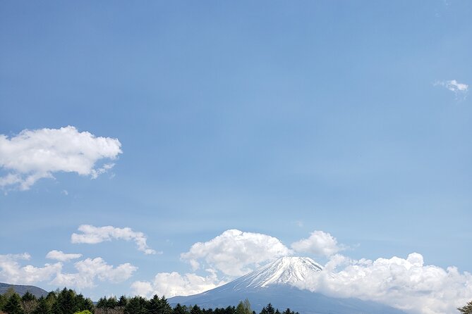 Mount Fuji, Hakone & Lakekawaguchiko Private Group Tour by Car. - Hakone Side Trip With Owakudani Valley If Time Permits