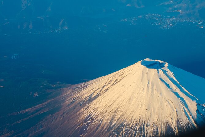 Mount Fuji, Hakone & Lakekawaguchiko Private Group Tour by Car. - Oishi Park, Chureito Pagoda, and the Fuji Photo Stops That Actually Deliver