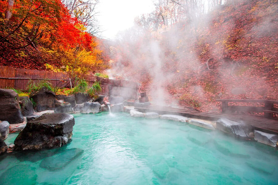Mount Fuji - Hakone & Onsen Full Day Private Tour - Hakone Open-Air Museum, where the foot bath gets weird (in a good way)