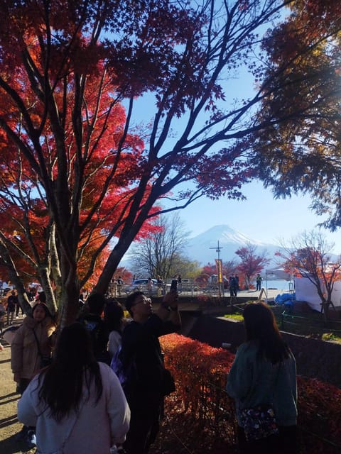 Mount Fuji - Hakone & Onsen Full Day Private Tour - Price and logistics: when this tour is a great deal, and when it is not