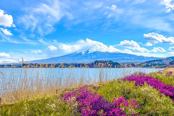 Mount Fuji, Kamakura, Big Buddha, & Lake Ashi Day Trip - Mount Fuji stop time: how to manage an uncertain view