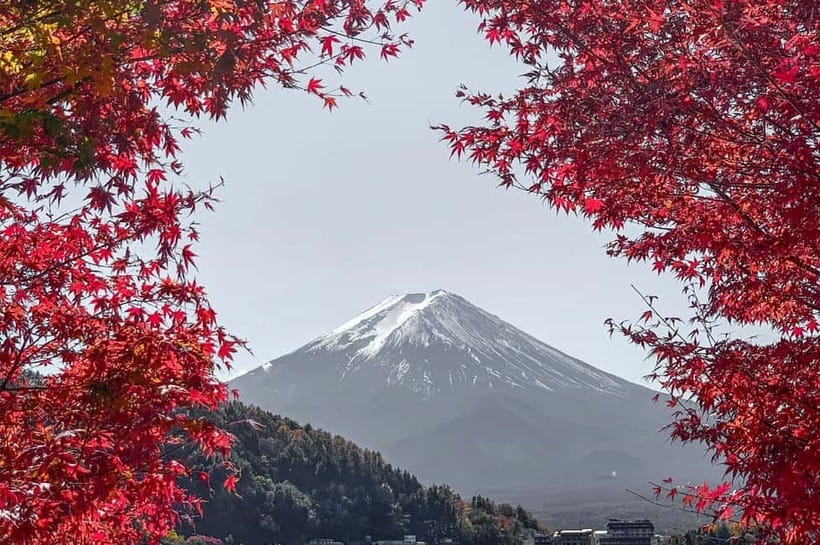Mount Fuji,Lake Kawaguchiko Private Tour By Car With Pick Up - A 10-hour Fuji circuit that actually makes sense
