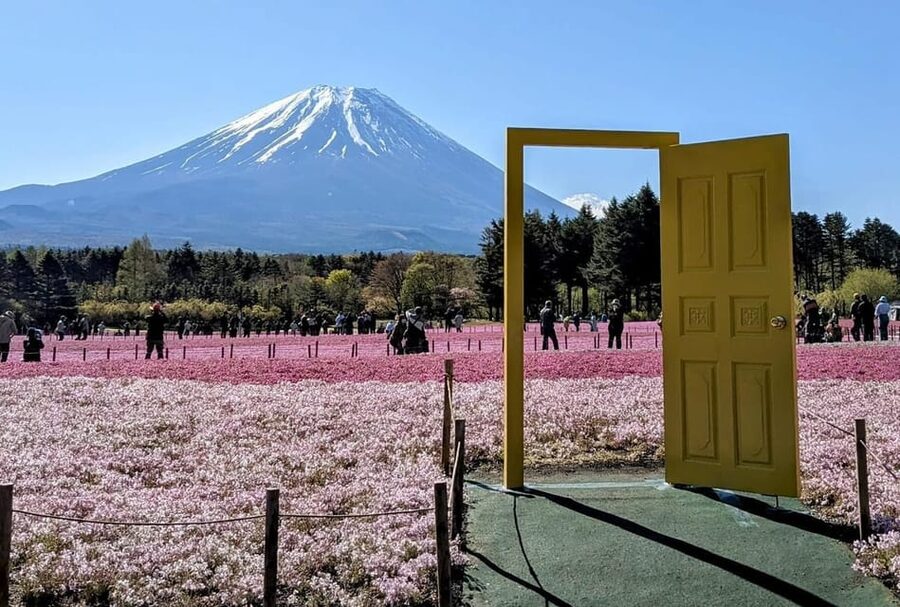 Mount Fuji,Lake Kawaguchiko Private Tour By Car With Pick Up - Oshino Hakkai spring ponds: where Fuji water becomes real