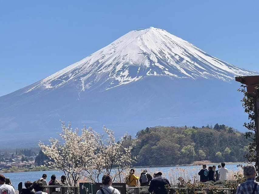 Mount Fuji,Lake Kawaguchiko Private Tour By Car With Pick Up - Fuji-Q Highland walk time: your flexible finale