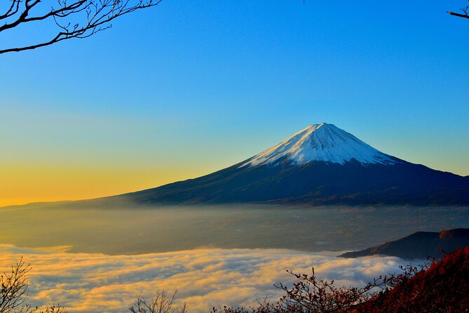 Mount Fuji (Mt. fuji) private tour by car with pickup from Tokyo - The real value: a Fuji day without transport headaches