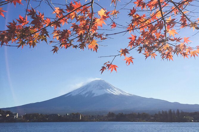Mount Fuji (Mt. fuji) private tour by car with pickup from Tokyo - Custom stops that actually fit how you travel
