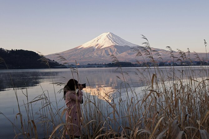 Mount Fuji (Mt. fuji) private tour by car with pickup from Tokyo - Chureito Pagoda and Arakura Sengen Shrine: the stairs that pay off