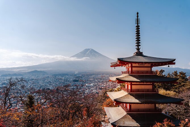Mount Fuji (Mt. fuji) private tour by car with pickup from Tokyo - Oishi Park and Saiko Iyashi no Sato Nemba: calm photos and old Japan vibes