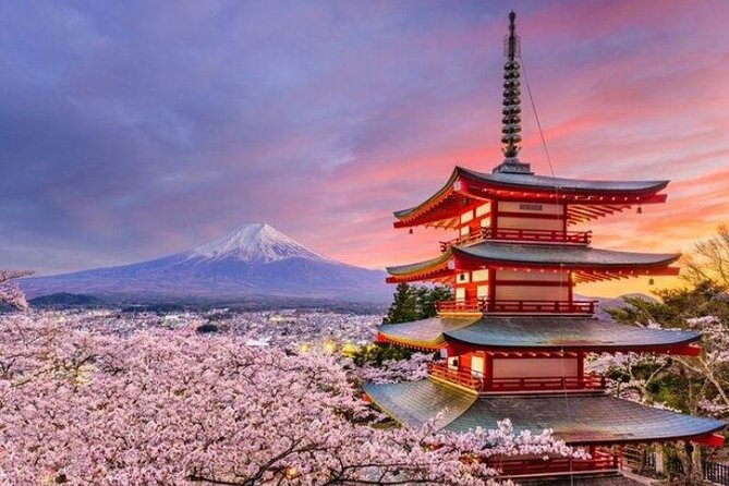Mount Fuji (Mt. fuji) private tour by car with pickup from Tokyo - Weather is the boss, so plan with eyes open