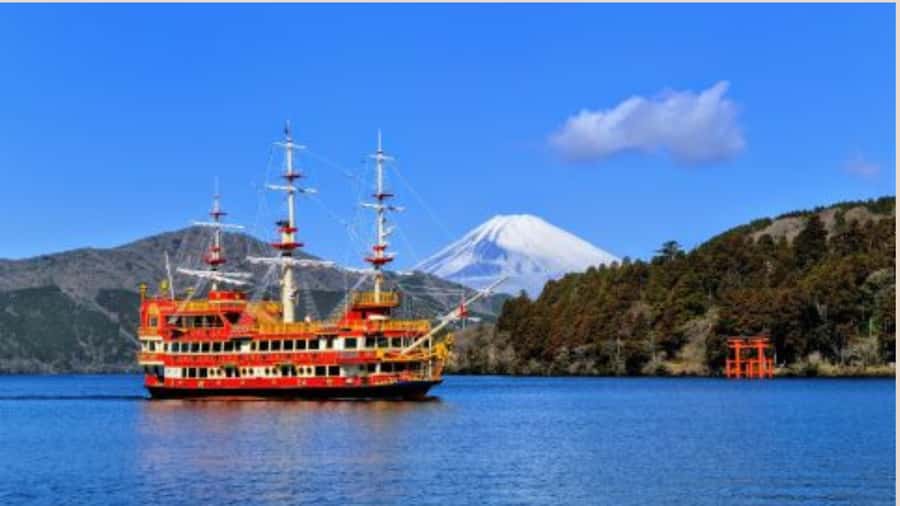 Mount Fuji One Day Private Tour With English Speaking Driver - Key highlights worth planning around