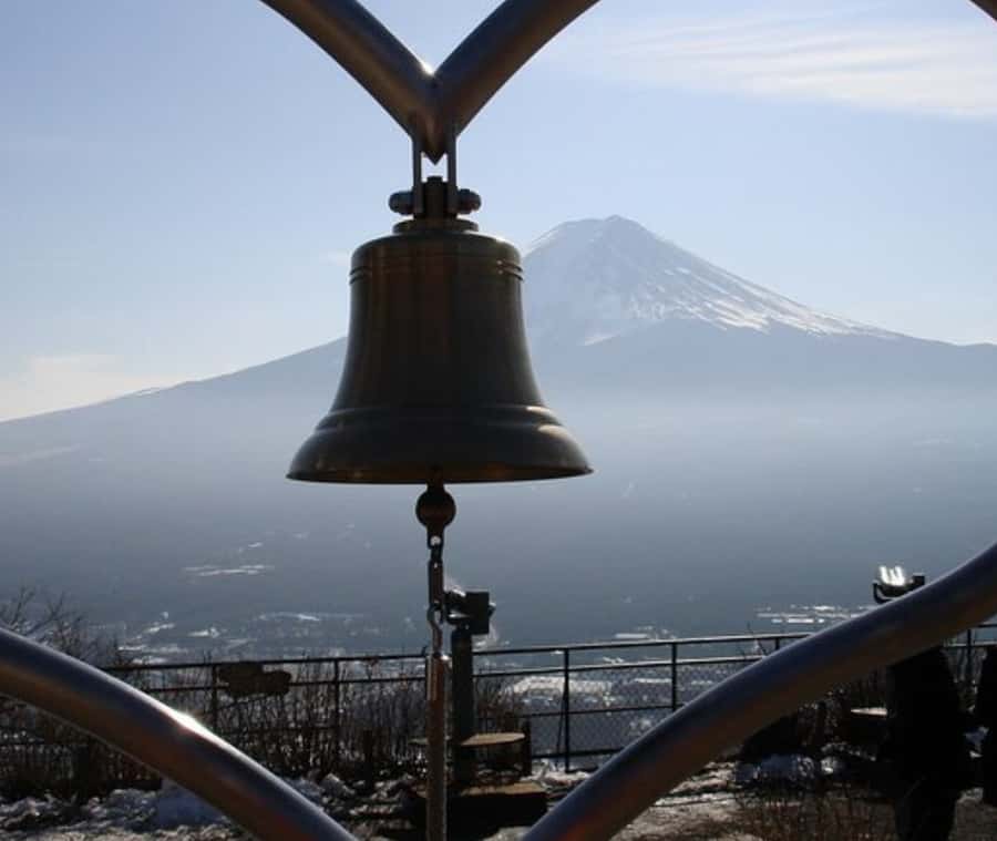 Mount Fuji Private Day Tour customized with English driver - Luxury pickup in Tokyo: what you need to know before you go