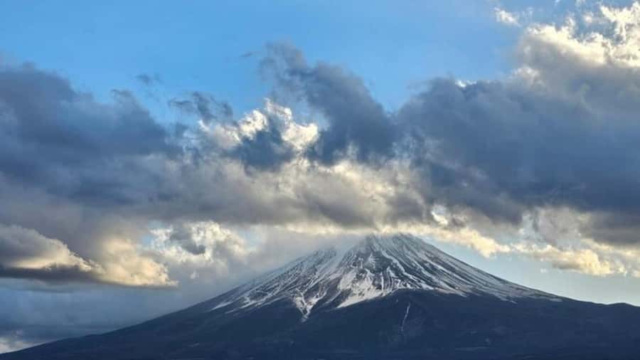 Mount Fuji Private Day Tour customized with English driver - A planned shopping stop at Gotemba Premium Outlets