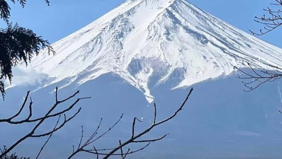 Mount Fuji Private Day Tour customized with English driver - Who this tour suits best, and who should rethink it
