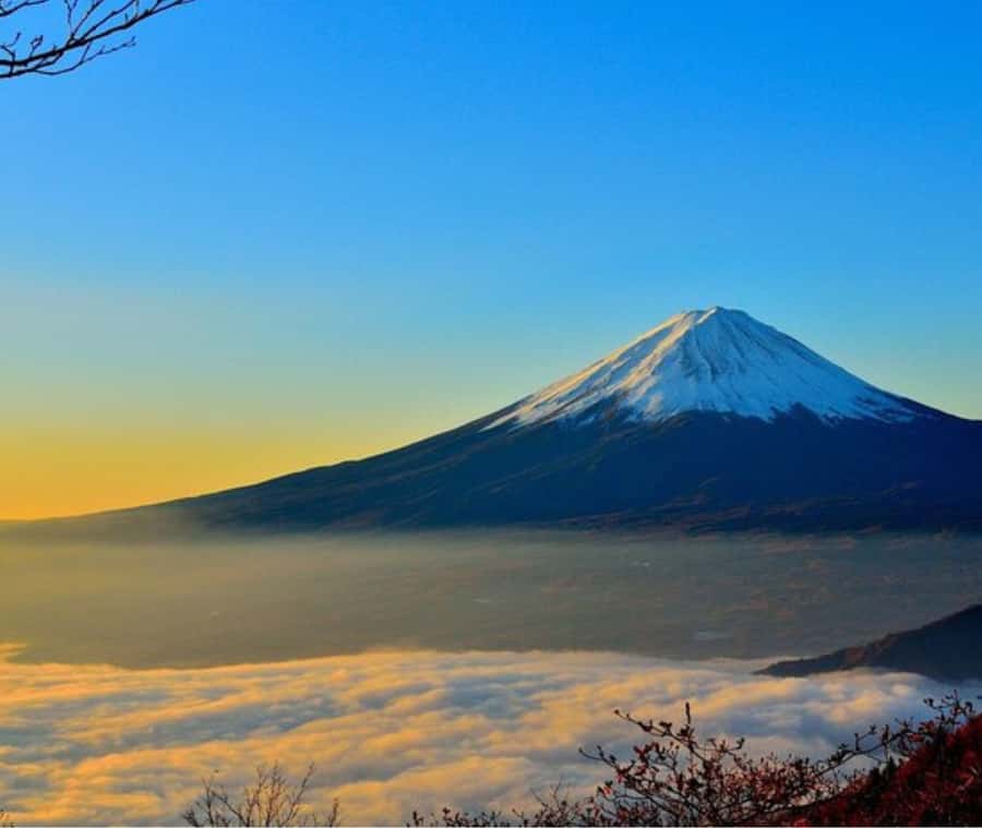 Mount Fuji Private Day Tour customized with English driver - How the 10-hour schedule actually plays out