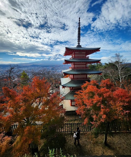 Mount Fuji Private day tour from Tokyo private & Customized - Key highlights