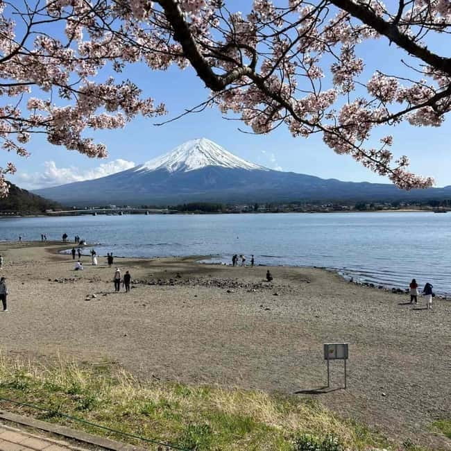 Mount Fuji Private day tour from Tokyo private & Customized - Door-to-door Tokyo pickup and why private timing matters
