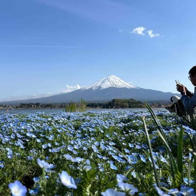 Mount Fuji Private day tour from Tokyo private & Customized - Oshino Hakkai: Fuji-fed ponds and the easy walk that pays off