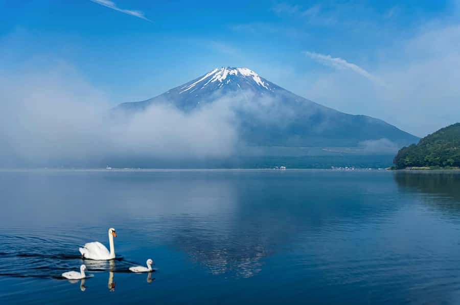 Mount Fuji Private Day Trip With Customizable Itinerary - Hakone by ropeway and Lake Ashi, with real choices instead of fixed marching