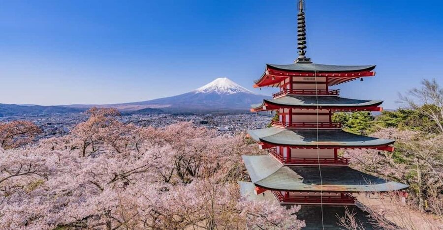 Mount Fuji Trip with English speaking guide ( customizable) - Key things that make this trip worth your time