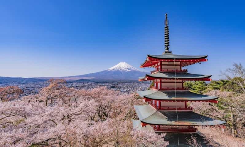 Mount Fuji Trip with English speaking guide ( customizable) - Getting out of Tokyo: your 2-hour van ride and how to use it