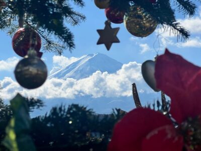 Mount Fuji Trip with English speaking guide ( customizable)