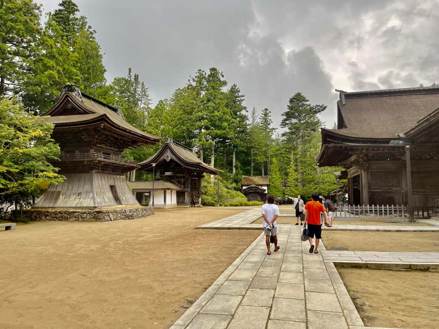 Mount Koya: Full-Day Private Guided Tour from Osaka - Who this private Mount Koya tour fits best