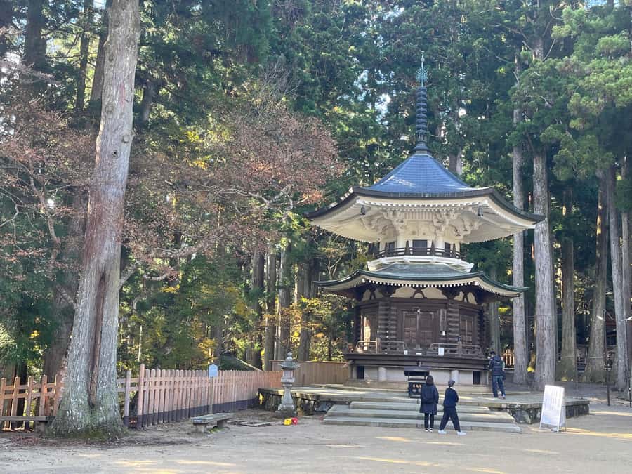 Mount Koya: Full-Day Private Guided Tour from Osaka - Lunch on Mount Koya: Buddhist vegetarian food you can actually taste